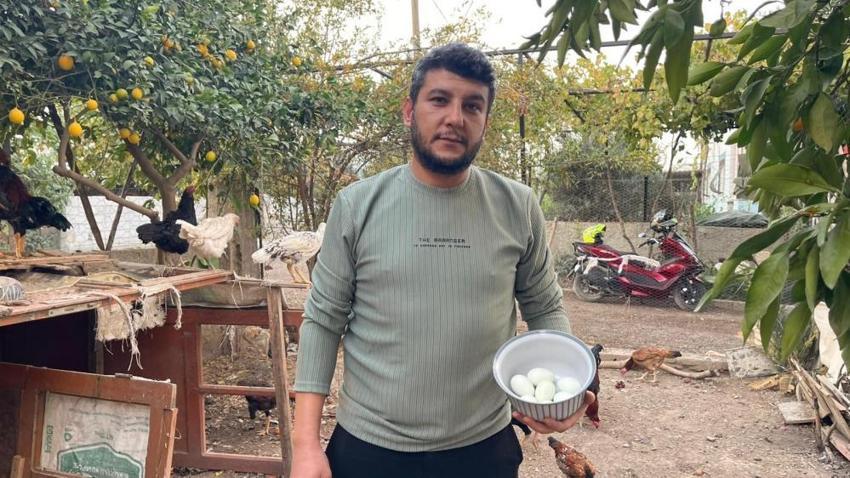 Osmaniye'de pes dedirten hırsızlık! Çamaşır ipiyle geldi, komşusunun mavi yumurtlayan tavuğunu tişörtünün içine saklayıp kaçtı