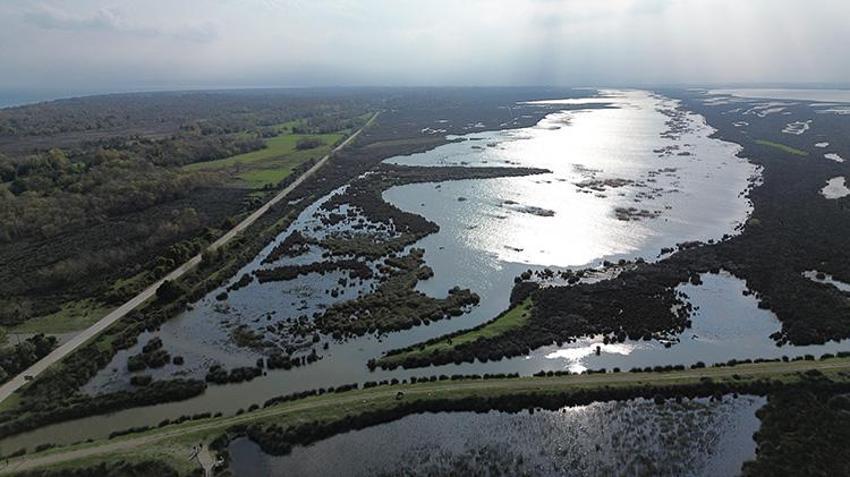Kızılırmak Deltası Kuş Cenneti'ndeki göller, sonbahar yağışlarıyla dolmaya başladı!