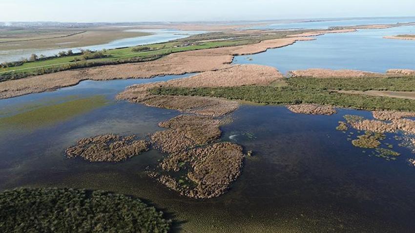 Kızılırmak Deltası Kuş Cenneti'ndeki göller, sonbahar yağışlarıyla dolmaya başladı!
