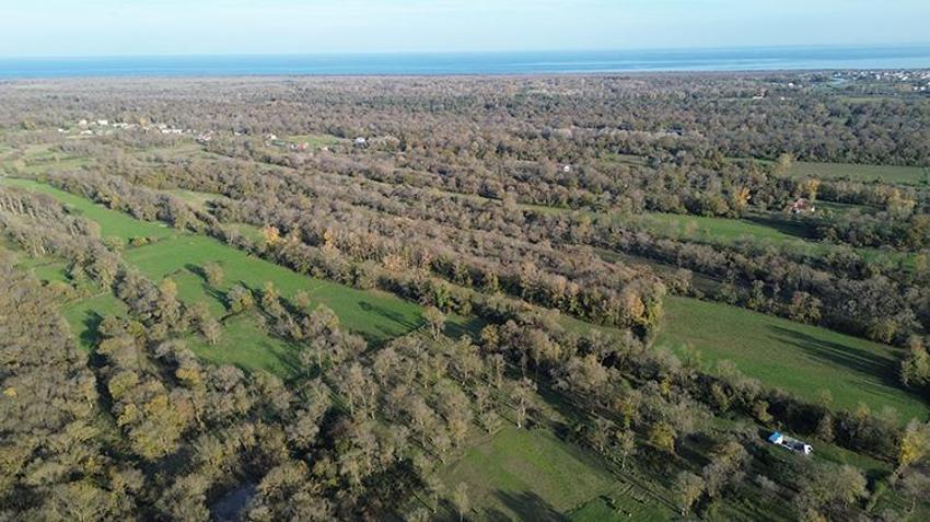 Kızılırmak Deltası Kuş Cenneti'ndeki göller, sonbahar yağışlarıyla dolmaya başladı!
