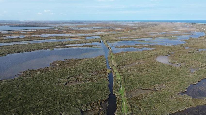 Kızılırmak Deltası Kuş Cenneti'ndeki göller, sonbahar yağışlarıyla dolmaya başladı!