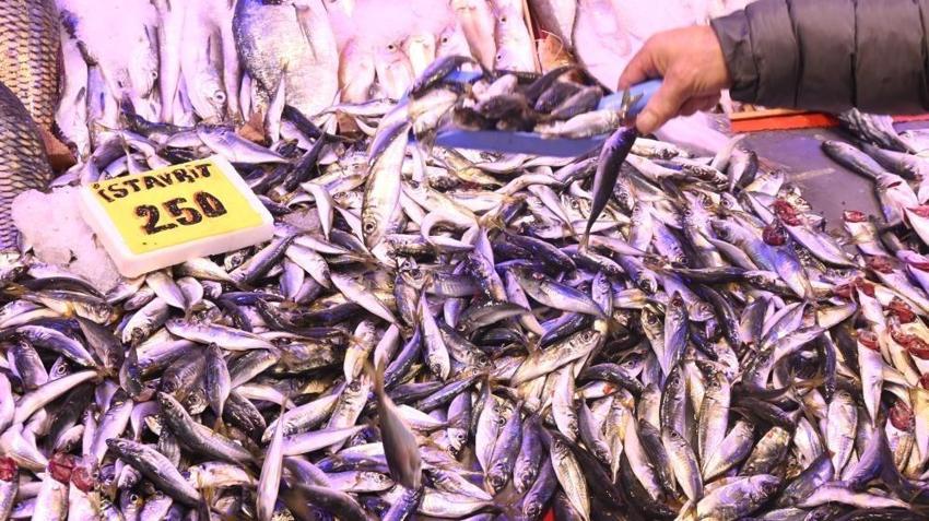 Eskişehir'e İskenderun'dan geliyor: Kilosu 4 bin dolar!