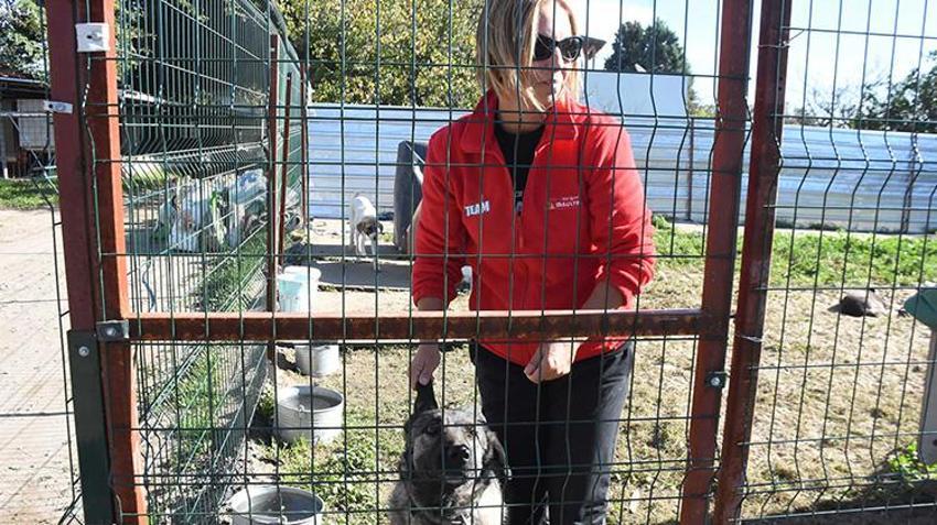 İzmir'de köpeğini kaybeden kadın bulana büyük para ödülü verecek!