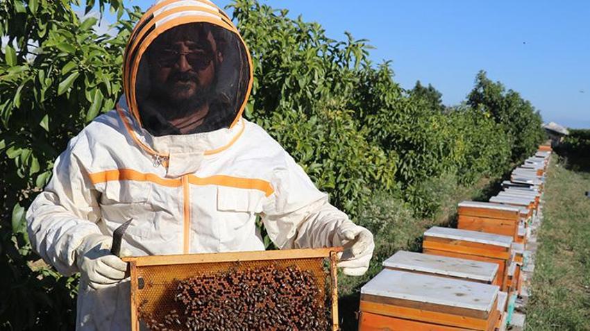 Adanalı girişimciden tropikal meyvede AR-GE devrimi! Serasındaki kovanlarla hem nektar fazlalığı sorununu çözdü hem de bal üretti