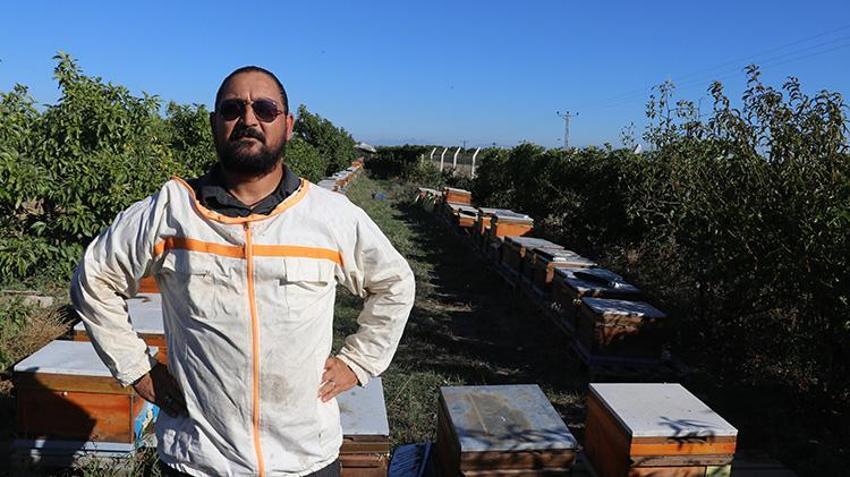 Adanalı girişimciden tropikal meyvede AR-GE devrimi! Serasındaki kovanlarla hem nektar fazlalığı sorununu çözdü hem de bal üretti