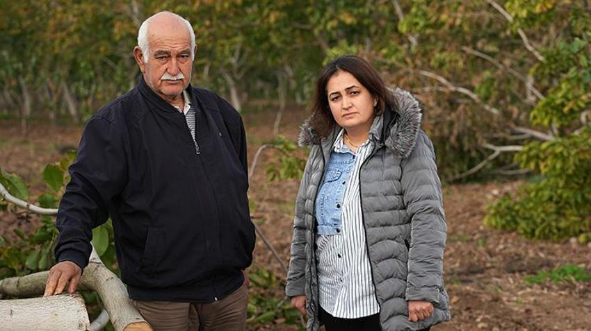 İzmir'de 20 yıllık emeği bir gecede yok ettiler! Emekli çiftçi gözyaşları içinde anlattı: 'Evladımız gibi büyütmüştük'