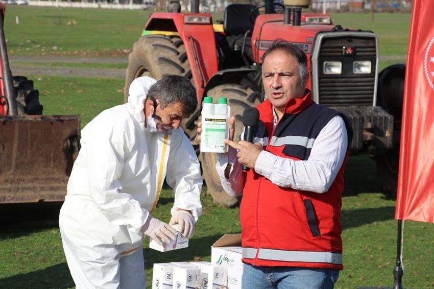 Samsun Terme'de büyük mücadele! Kahverengi kokarcaya karşı 850 hane, 23 kamu alanı ve 623 ahır ilaçlandı