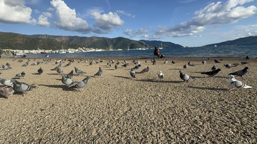 Muğla Marmaris’te yazdan kalma günler: Vatandaşlar sahillere akın etti