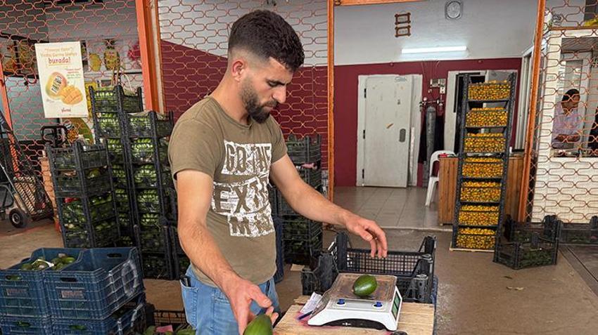 Türkiye'de ihtiyacın yüzde 65'ini tek başına karşılıyor! Rekolte 150 milyon adedi bulacak: İhracat Rusya ve Orta Doğu'ya uzandı