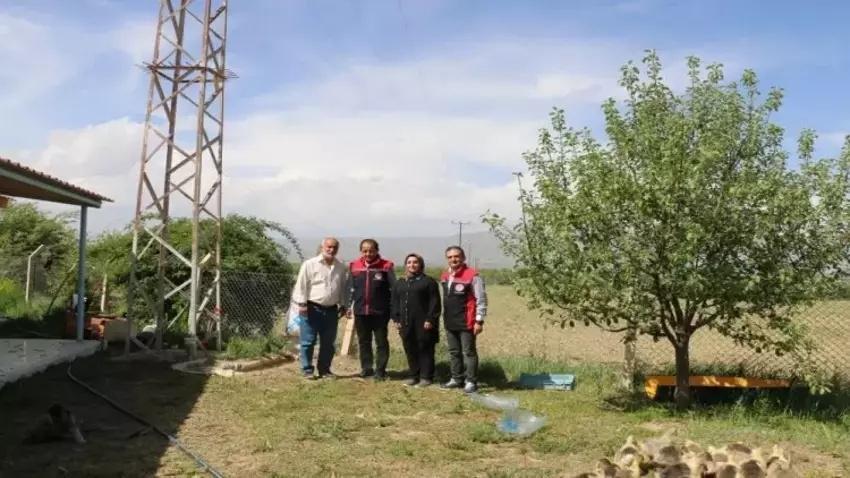 Türk cerrah Erzincan'da yeni üretim modeli buldu: Köyde 400 dekarı kapattı, fabrikalara satıyor
