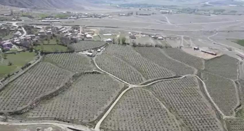 Türk cerrah Erzincan'da yeni üretim modeli buldu: Köyde 400 dekarı kapattı, fabrikalara satıyor