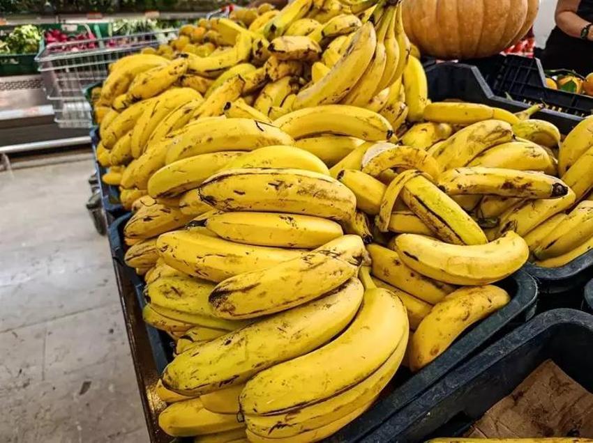 Yılda 6 kez hasat olunca Adanalı çiftçilerin gözleri parladı! Kış için alternatif ürünü buldular