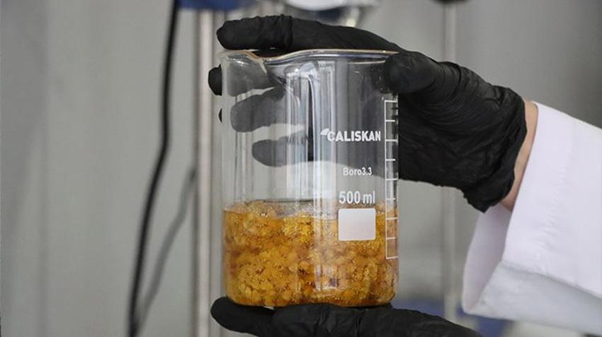 15 yıl sonra memleketine dönüp şirket kurdu! KOSGEB desteğiyle başladı, şimdi ürünlerine talep yağıyor!