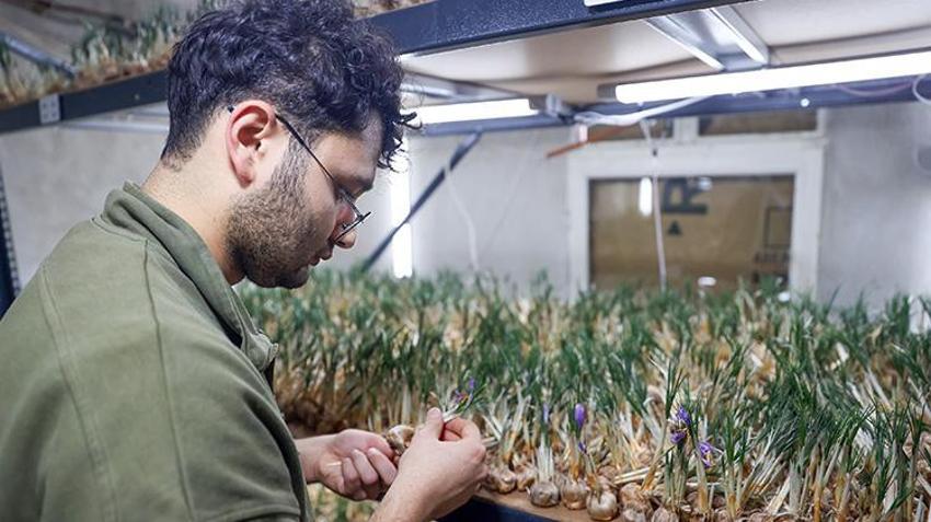 Konyalı ziraat mühendisi tarımda devrim yaptı! 1 milyon TL kazanıyor