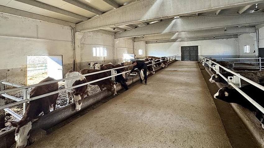 Van'da babasından mesleği devraldı! Hibe desteğiyle modern tesis kurup işini büyüttü