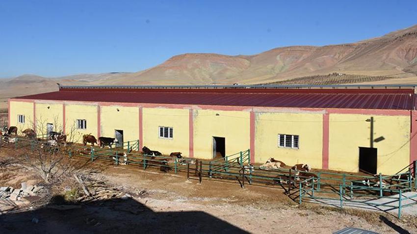 Van'da babasından mesleği devraldı! Hibe desteğiyle modern tesis kurup işini büyüttü