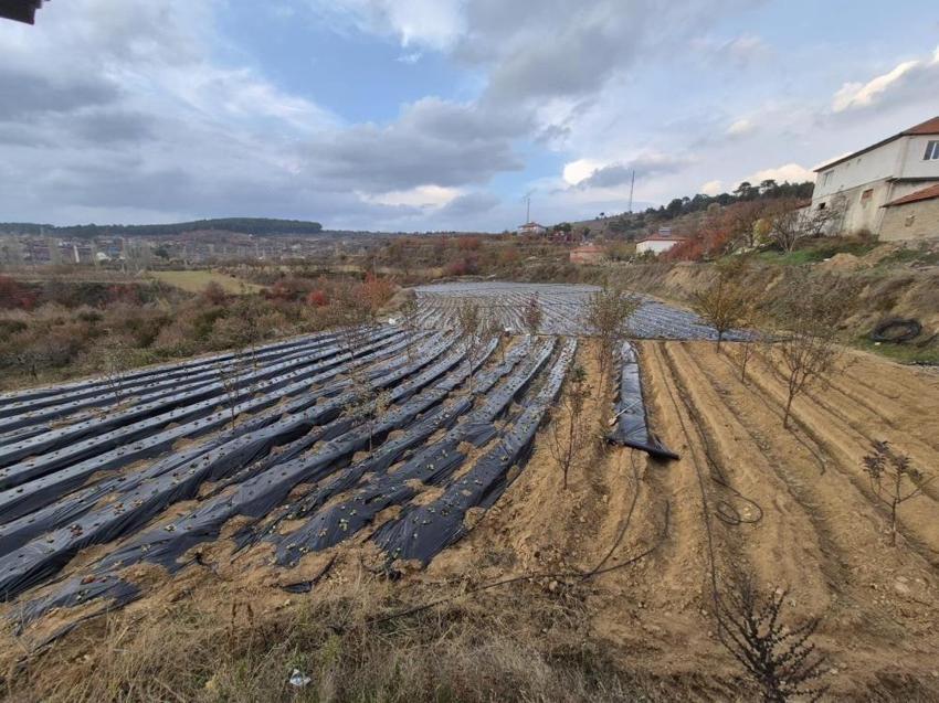 Denizli'de 10 mahalle bir araya gelip karar aldı: 1 ton üretmek için çalışma başladı