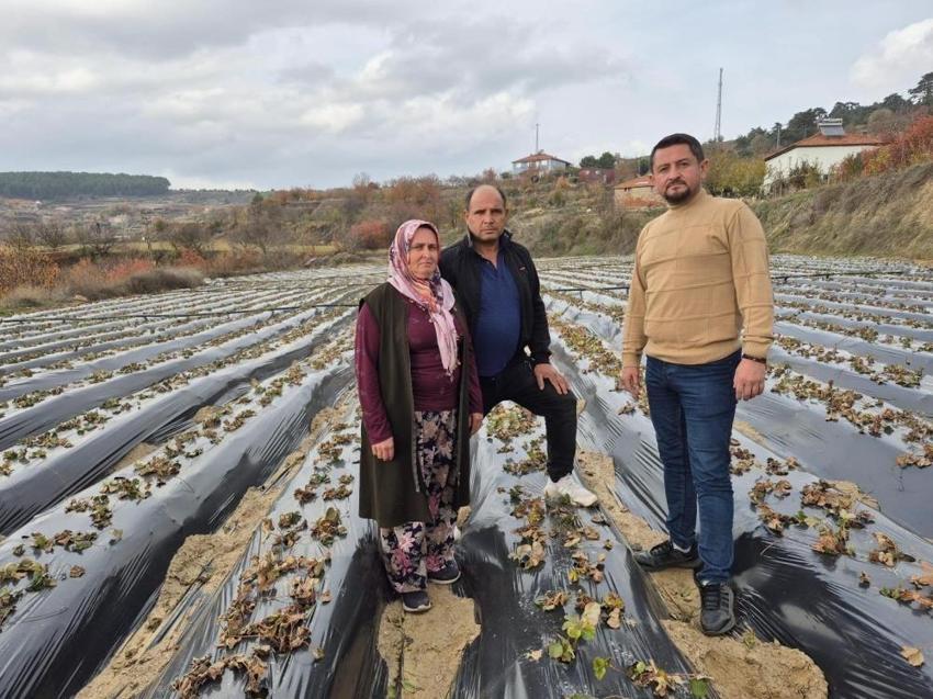 Denizli'de 10 mahalle bir araya gelip karar aldı: 1 ton üretmek için çalışma başladı