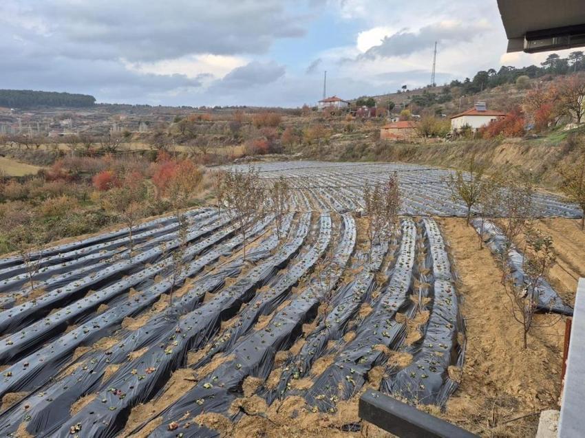 Denizli'de 10 mahalle bir araya gelip karar aldı: 1 ton üretmek için çalışma başladı