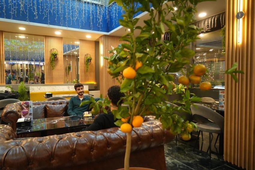 Muş'taki bu kafe görenleri şaşırttı! Saksıda yetiştiriyor, gelen müşteriye ücretsiz veriyor