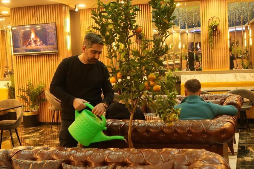 Muş'taki bu kafe görenleri şaşırttı! Saksıda yetiştiriyor, gelen müşteriye ücretsiz veriyor