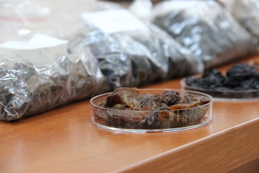 Türkiye'yi tehdit eden risk ortadan kalkıyor! 500 milyon dolarlık ihracat 'Mayalarla' kurtuluyor: TÜBİTAK destekli biyolojik savaş başladı