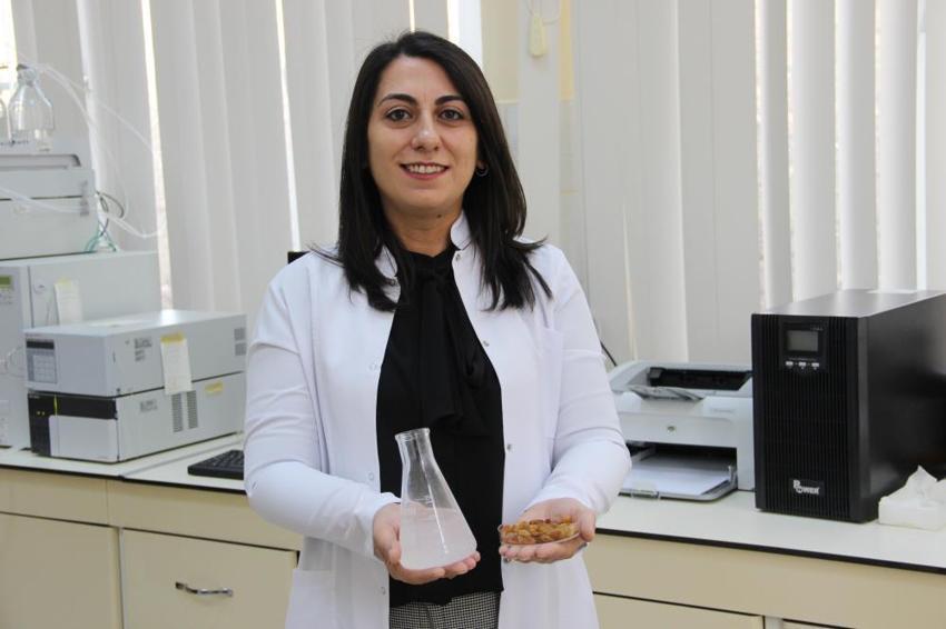 Türkiye'yi tehdit eden risk ortadan kalkıyor! 500 milyon dolarlık ihracat 'Mayalarla' kurtuluyor: TÜBİTAK destekli biyolojik savaş başladı