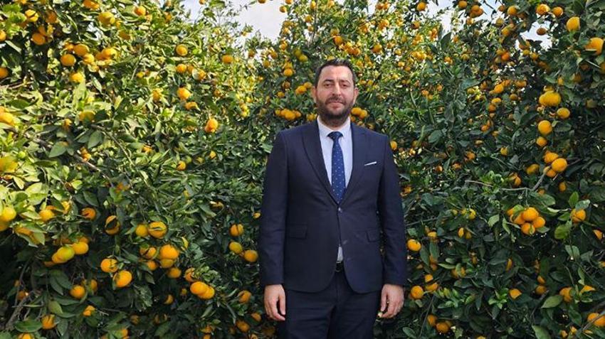 Çözüm dalında kalan mandalinada! Samandağ Belediyesi'nden üreticiye destek: Meyve suyu üretim tesisi geliyor