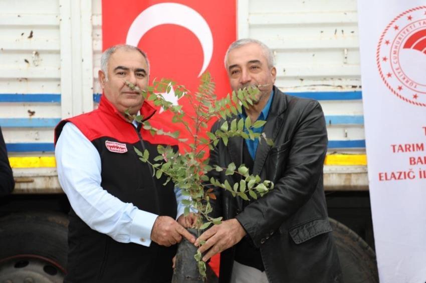 Elazığ’da üreticilere büyük destek! 7 binden fazla fide dağıtıldı! 91 dekar alanda üretim başlayacak