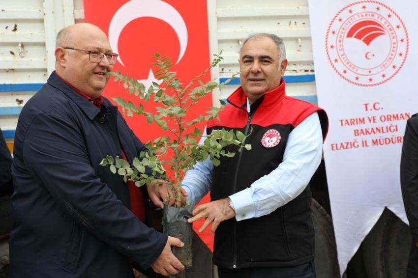 Elazığ’da üreticilere büyük destek! 7 binden fazla fide dağıtıldı! 91 dekar alanda üretim başlayacak