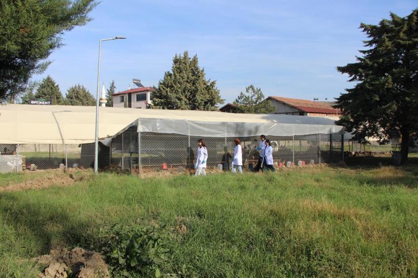 Üniversiteli öğrenciler yetiştirmeye başladı! Verim 5 kat arttı! Sayıları 60'tan 700'e ulaştı