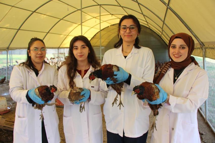 Üniversiteli öğrenciler yetiştirmeye başladı! Verim 5 kat arttı! Sayıları 60'tan 700'e ulaştı