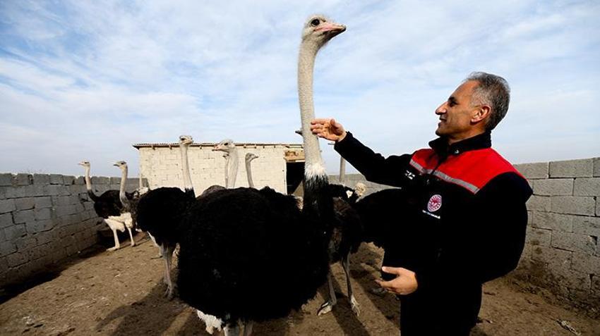 İstanbul'da kariyerini bırakıp memleketi Kars'a döndü, 7 dönümlük arazide hiç yapılmayanı yaptı! 'Her şeyinden para kazanılıyor'