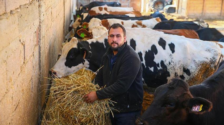 Mühendislik mezunu oldu, diplomasını ahıra astı! 4 hayvanla başladığı işte devlet desteğiyle 10'a katladı