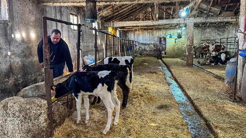 Mühendislik mezunu oldu, diplomasını ahıra astı! 4 hayvanla başladığı işte devlet desteğiyle 10'a katladı
