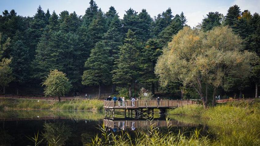 Türkiye'nin 'Orman denizi' Yedigöller’i 2 ayda 180 bin kişi ziyaret etti