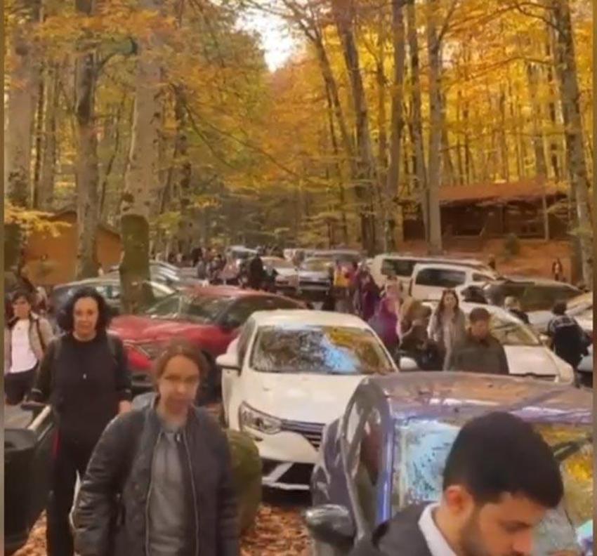 Türkiye'nin 'Orman denizi' Yedigöller’i 2 ayda 180 bin kişi ziyaret etti