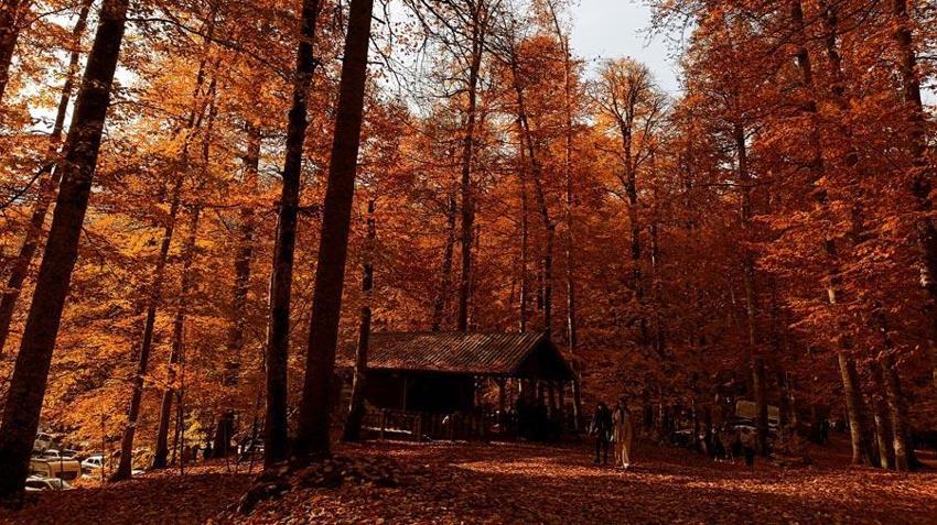 Türkiye'nin 'Orman denizi' Yedigöller’i 2 ayda 180 bin kişi ziyaret etti