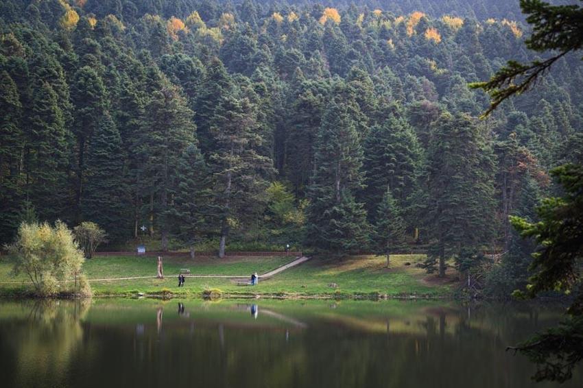 Türkiye'nin 'Orman denizi' Yedigöller’i 2 ayda 180 bin kişi ziyaret etti