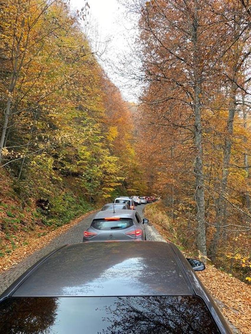 Türkiye'nin 'Orman denizi' Yedigöller’i 2 ayda 180 bin kişi ziyaret etti