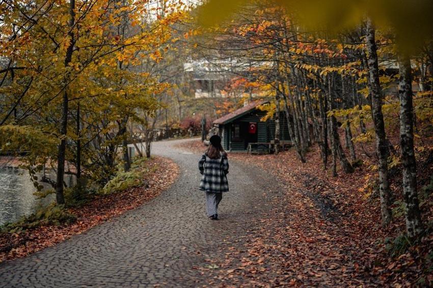 Türkiye'nin 'Orman denizi' Yedigöller’i 2 ayda 180 bin kişi ziyaret etti