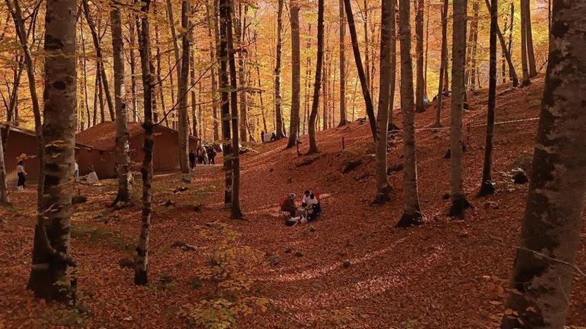 Türkiye'nin 'Orman denizi' Yedigöller’i 2 ayda 180 bin kişi ziyaret etti