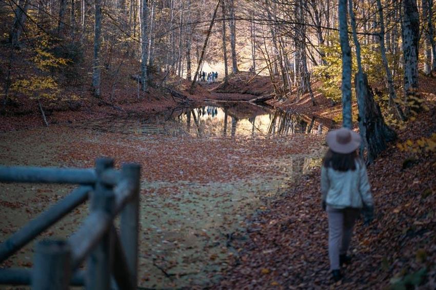 Türkiye'nin 'Orman denizi' Yedigöller’i 2 ayda 180 bin kişi ziyaret etti