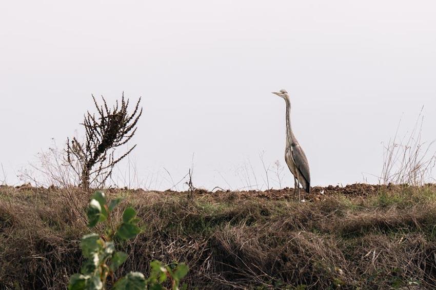 Türkiye'nin 'Orman denizi' Yedigöller’i 2 ayda 180 bin kişi ziyaret etti