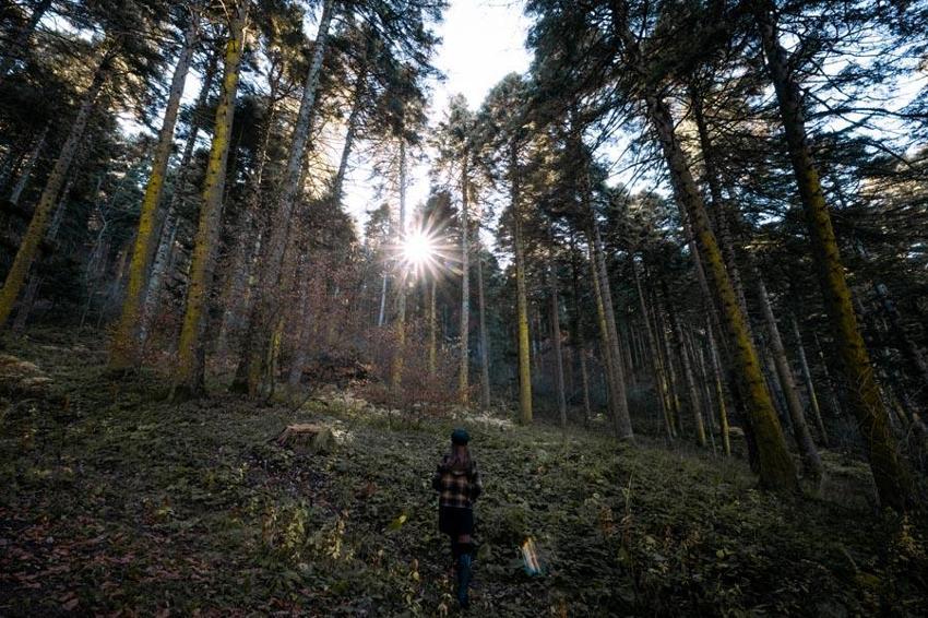 Türkiye'nin 'Orman denizi' Yedigöller’i 2 ayda 180 bin kişi ziyaret etti