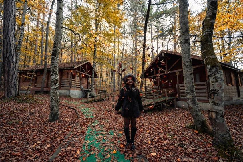 Türkiye'nin 'Orman denizi' Yedigöller’i 2 ayda 180 bin kişi ziyaret etti