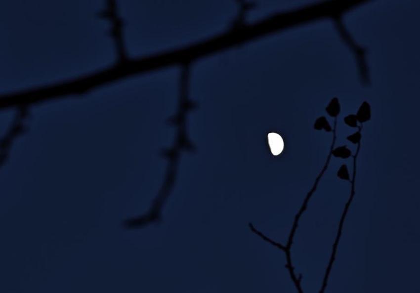 Bitlis Ahlat'ta yarım ay manzarası hayran bıraktı