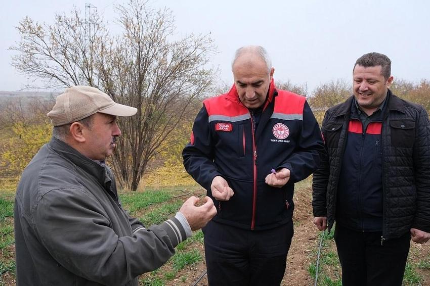 Malatya tarımında rekora 8 yılda ulaştı! Yazıhanlı çiftçiye ziyaretçi akını var