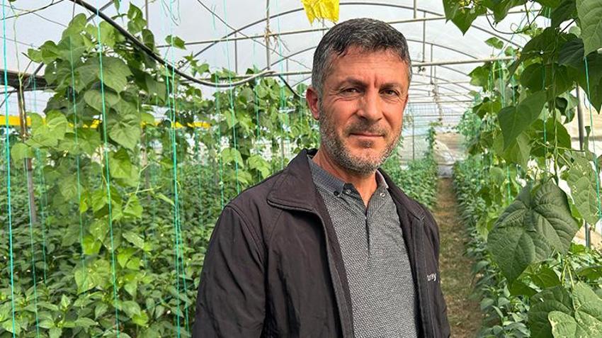 Türkiye'nin en acı biberinde hasat zamanı! Uzman isim faydalarını saydı: 'Hastalıklara karşı direnç oluşturur'