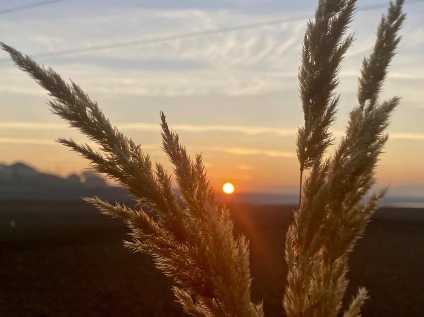 Ağrı'nın Patnos ilçesi de nasibini aldı: Görenler şaşkına dönüyor